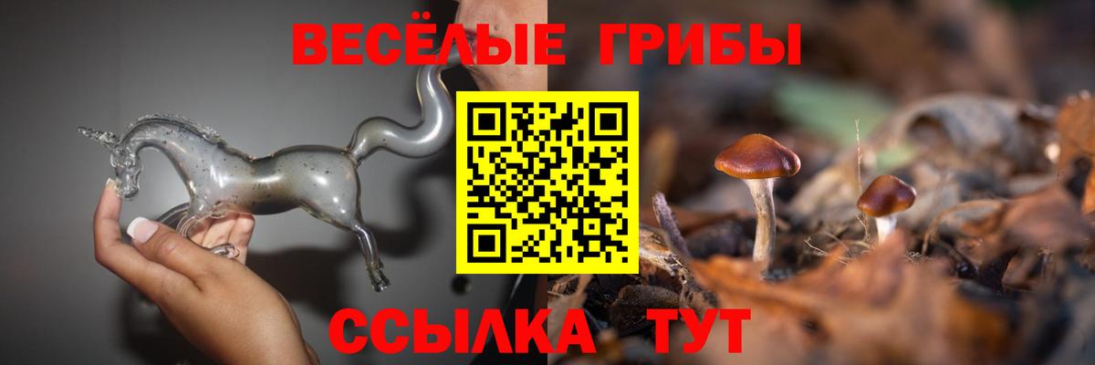 Комсомольск-на-Амуре  Псилоцибиновые грибы Psilocybe  купить  цена  Вход с VPN 